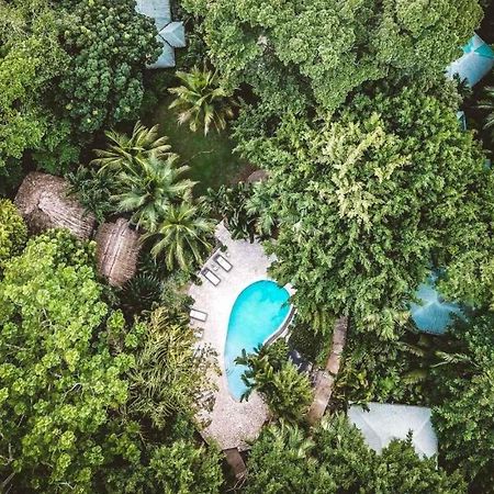 Copal Tree Lodge A Muy'Ono Resort Toledo District Zewnętrze zdjęcie