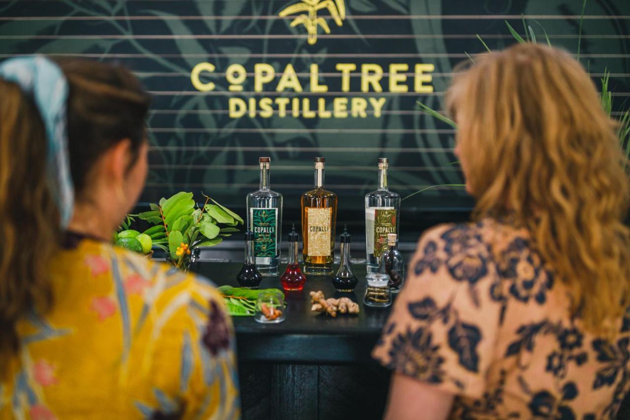 Copal Tree Lodge A Muy'Ono Resort Toledo District Zewnętrze zdjęcie