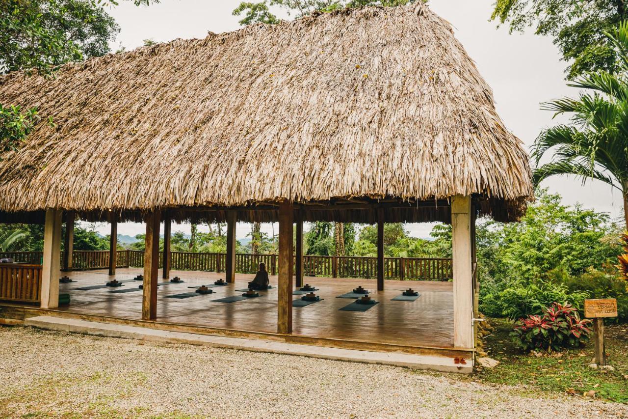 Copal Tree Lodge A Muy'Ono Resort Toledo District Zewnętrze zdjęcie