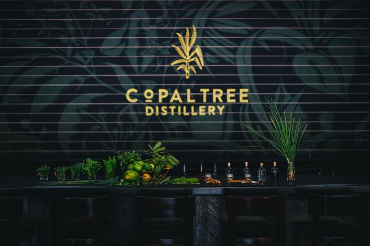 Copal Tree Lodge A Muy'Ono Resort Toledo District Zewnętrze zdjęcie
