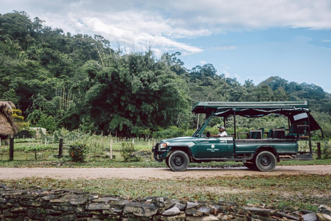 Copal Tree Lodge A Muy'Ono Resort Toledo District Zewnętrze zdjęcie