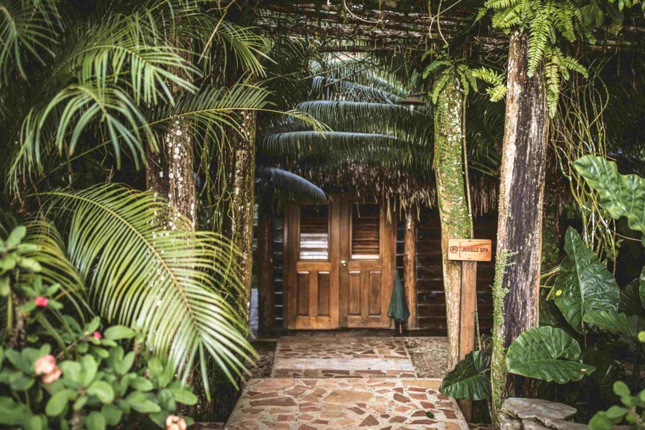 Copal Tree Lodge A Muy'Ono Resort Toledo District Zewnętrze zdjęcie